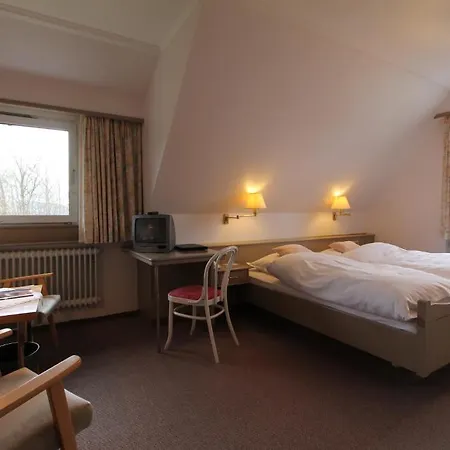 Hotel Troster 3*