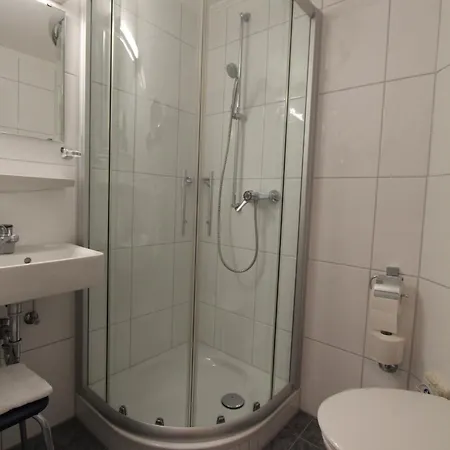 Hotel Troster 3*